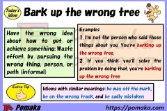 Bark up the wrong tree